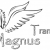 Magnus Transporte & Logistik