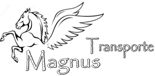 Magnus Transporte & Logistik