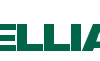 dellian logo