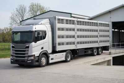 Tiertransport Vorschriften